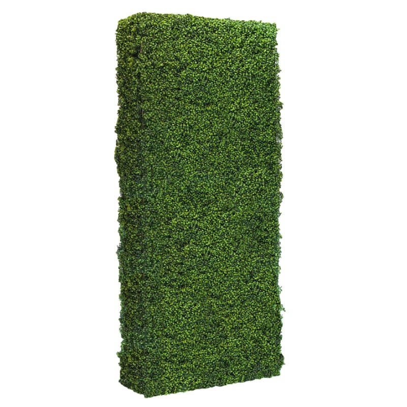 Hedge Wall 4' x 6'