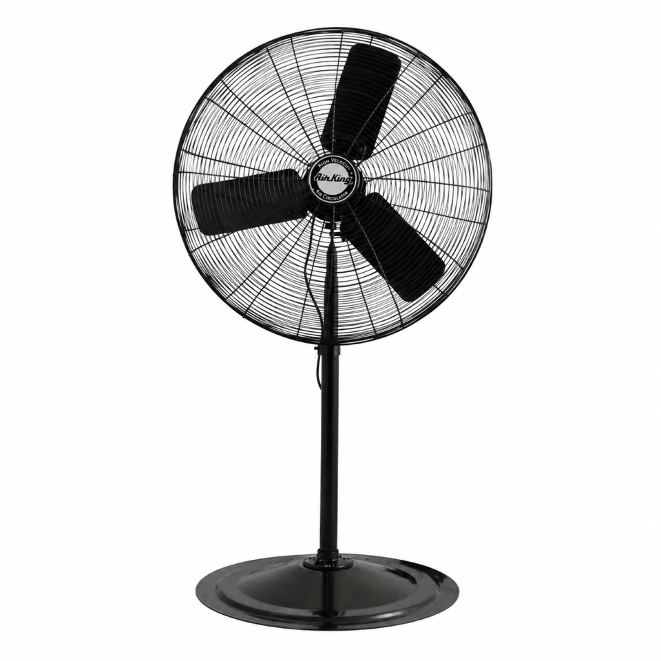 Pedestal Fan